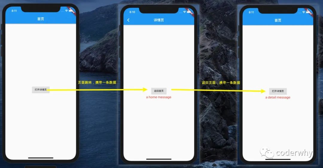 Android flutter run 警告 乱码 flutter报错_Text_02