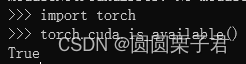 用GPU跑pytorch项目 pytorch 用gpu_python_08