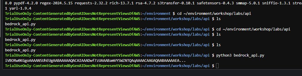 即刻起飞——基于Amazon Bedrock快速构建生成式AI应用_json_26