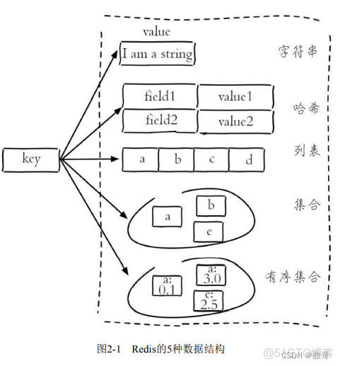 005、API_数据结构_数据结构