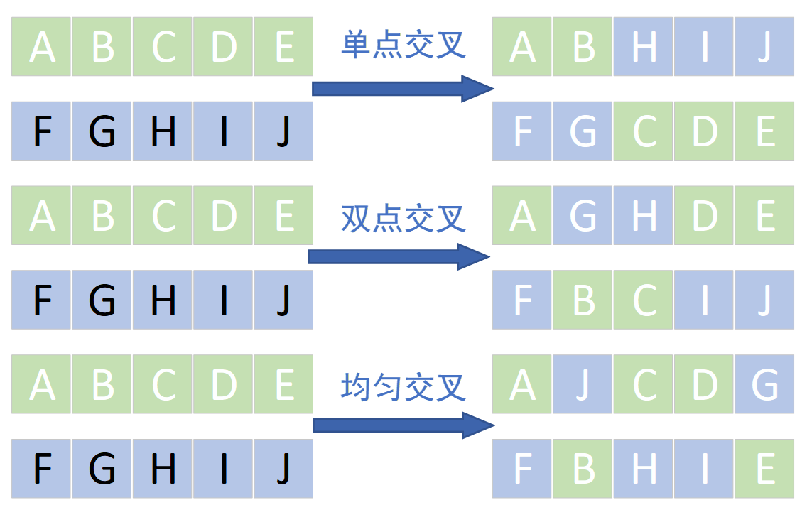 遗传算法的求解路径规划问题python代码 遗传算法解决路径规划_初始化_03