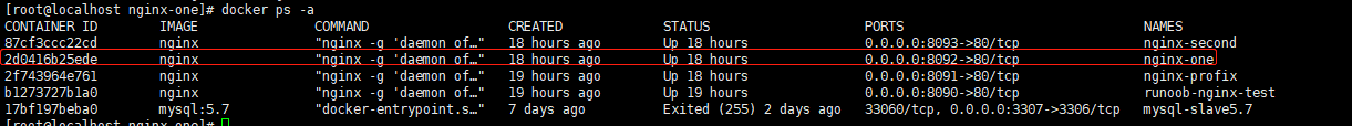 如何修改docker中nginx 配置文件 docker nginx 配置_nginx_06