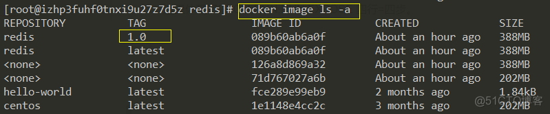 查看docker 镜像时区 docker查看镜像dockerfile_查看docker 镜像时区_12