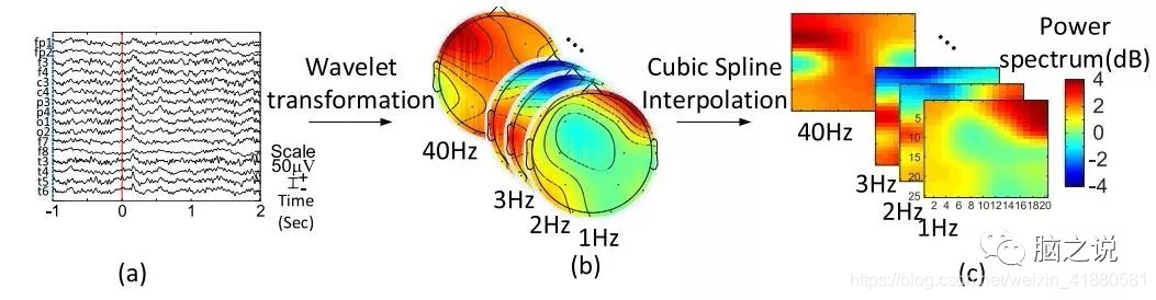 脑电地形图配色python 脑电地形图仪器_数据_02