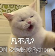 pytorch图片多标签分类代码 python图片分类源代码_pytorch图片多标签分类代码_02