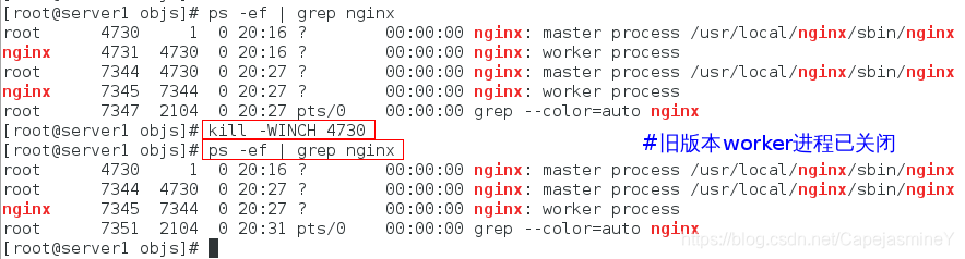 centos的nginx怎么更新配置文件 nginx版本更新_旧版_23