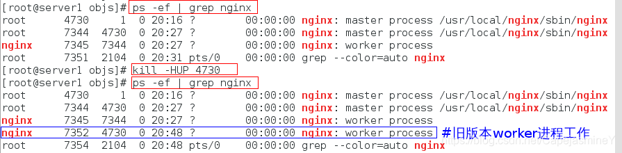 centos的nginx怎么更新配置文件 nginx版本更新_nginx_26