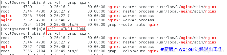 centos的nginx怎么更新配置文件 nginx版本更新_热部署_27