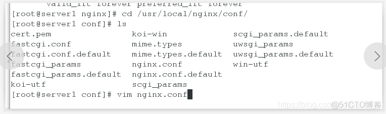 Nginx 记录 POST 请求的 body 内容 nginx获取参数_nginx_45