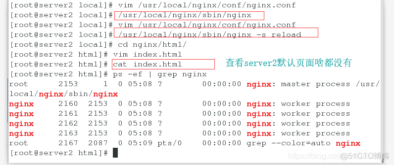 Nginx 记录 POST 请求的 body 内容 nginx获取参数_nginx_56