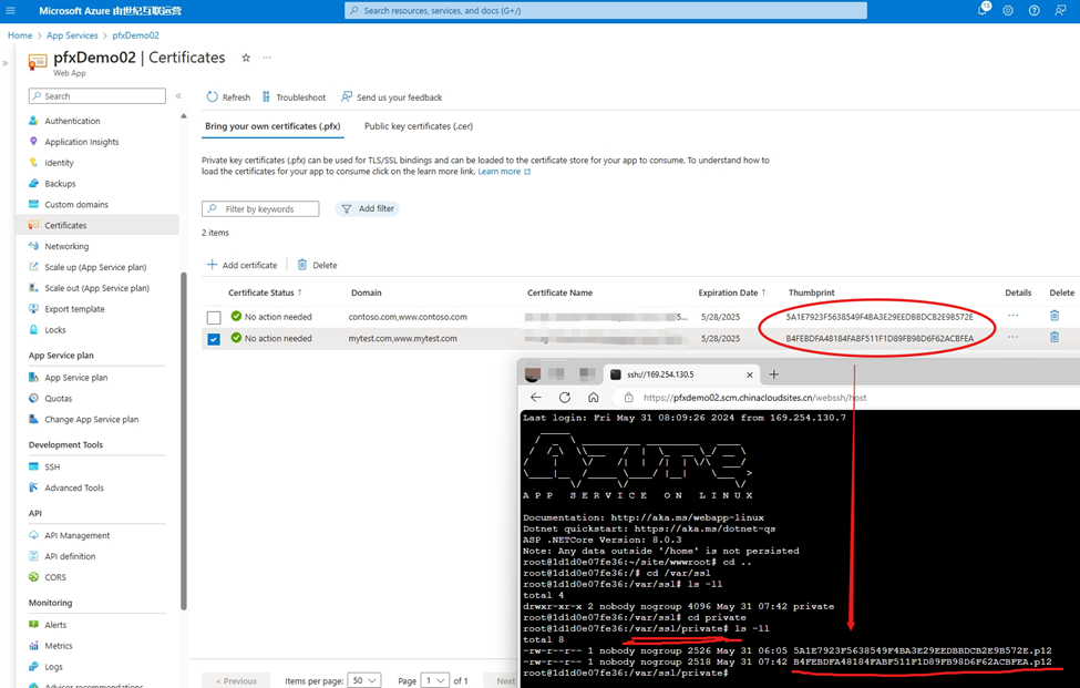 【Azure App Service】.NET代码实验App Service应用中获取TLS/SSL 证书 (App Service Linux/Linux Container)_ide_05