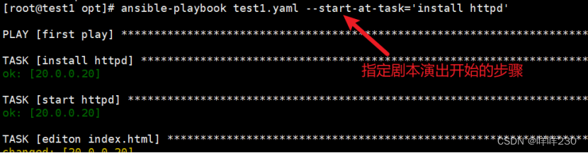 python ansible模块详解 ansible playbook常用模块_IP_07