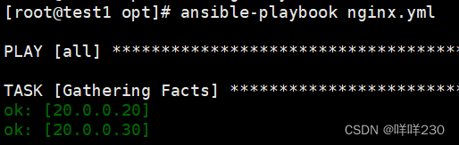 python ansible模块详解 ansible playbook常用模块_占位符_95