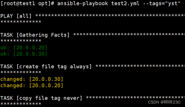 python ansible模块详解 ansible playbook常用模块_配置文件_112