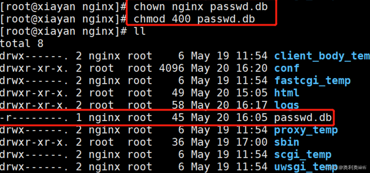 nginx 发布服务端渲染 nginx服务部署_Nginx_11