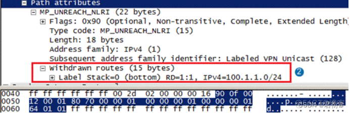 mpls 二层标签怎样查 mpls双层标签_网络协议_04
