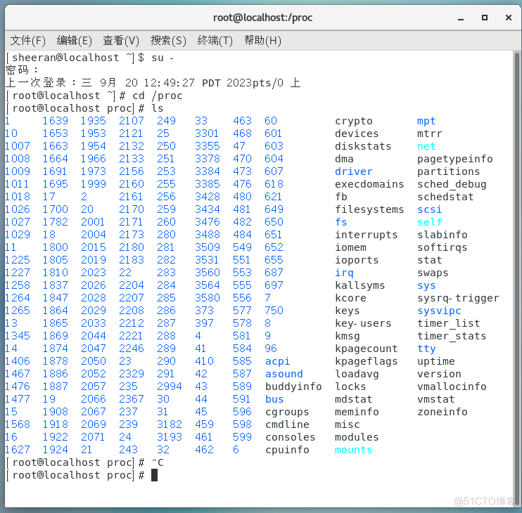 【操作系统】实验二 Proc文件系统_操作系统_07