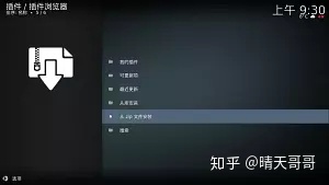 kodi 电影墙 the move database python 设置 kodi18如何设置电影海报_madvr设置_03