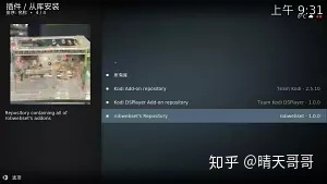 kodi 电影墙 the move database python 设置 kodi18如何设置电影海报_屏保_08