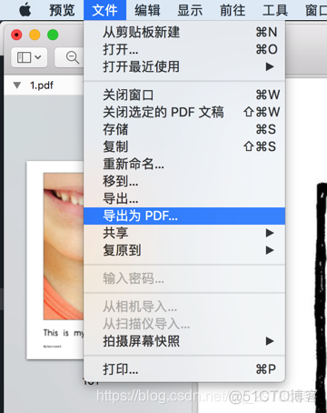 Android pdf合成一个 把pdf合成一个文件的软件_Adobe_07