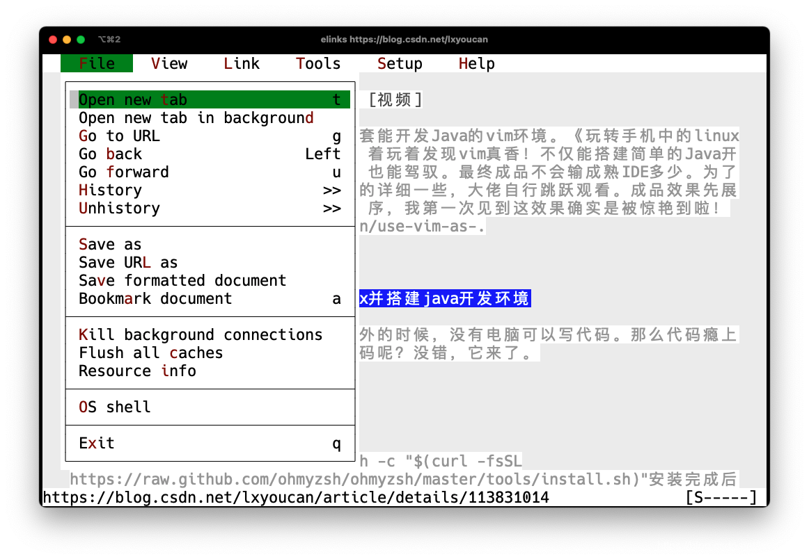 内网系统怎么安装nginx 内网怎么安装浏览器_cli_05