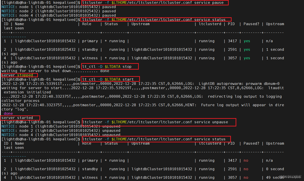 mysql集群 查看集群所有信息 查看数据库集群状态_sed_08