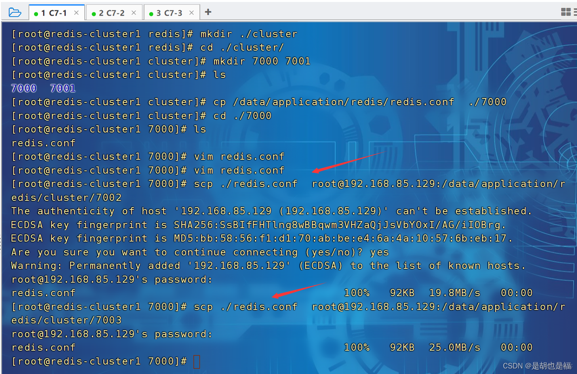 redis 集群cluster 还有DB redis cluster集群部署_配置文件_02