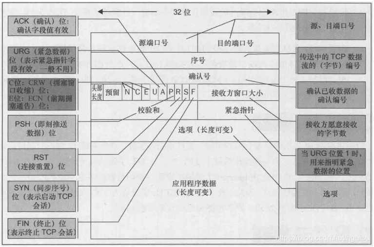 用wireshark抓包分析tcp看是单向还是双向 tcp wireshark抓包_客户端_08