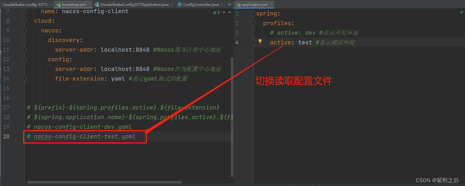 nacos 通过namespace获取配置 nacos命名空间作用_spring_04