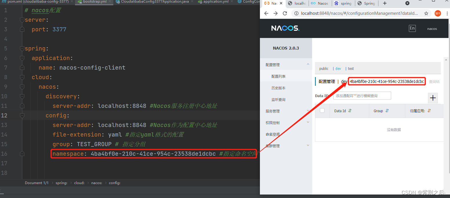 nacos 通过namespace获取配置 nacos命名空间作用_开发语言_13