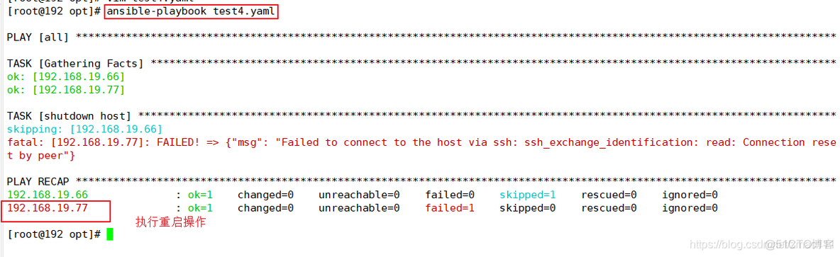 ansible设置一批跑多少台 ansible指定主机_vim_03