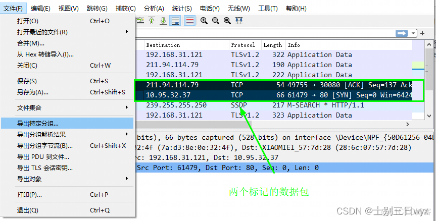 wireshark 视频 wireshark使用教程视频教程_网络安全_19