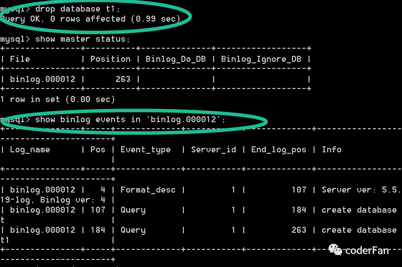 mysqldump只取某一张表 mysqldump单表_mysqldump只取某一张表_11