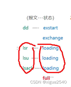 OSPF使用的报文有哪些 ospf报文内容_数据库_04