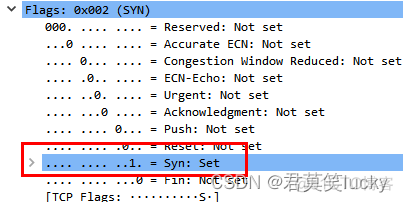 wireshark 过滤条件 udp port wireshark 过滤udp协议_TCP_13