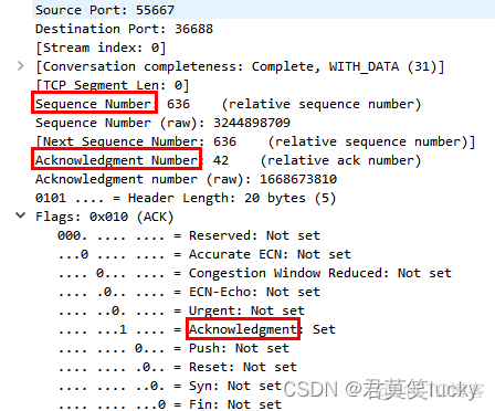 wireshark 过滤条件 udp port wireshark 过滤udp协议_UDP_20