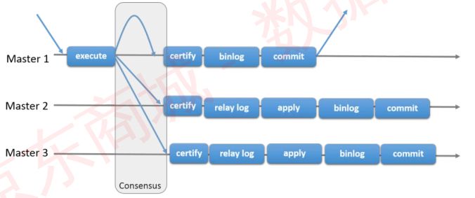 mysql集群 查看主节点ip mysql查看mgr集群状态_IP