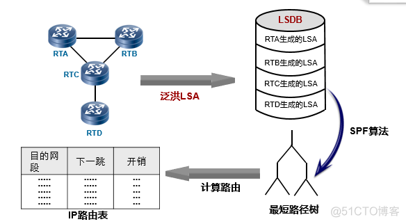 OSPF实验报告心得 ospf实验总结_网络_02