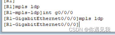 mpls 和ldp的关系 mpls和ldp基本配置实验心得_R3_17