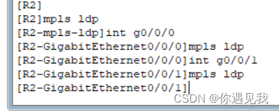 mpls 和ldp的关系 mpls和ldp基本配置实验心得_计算机网络_18