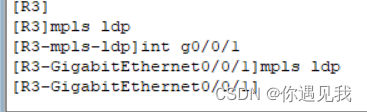 mpls 和ldp的关系 mpls和ldp基本配置实验心得_R3_19