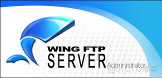 Windows系统下载安装Wing FTP Server并实现无公网IP远程传输文件_windows