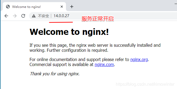 JAVA项目 隐藏nginx版本号 如何隐藏nginx版本_nginx