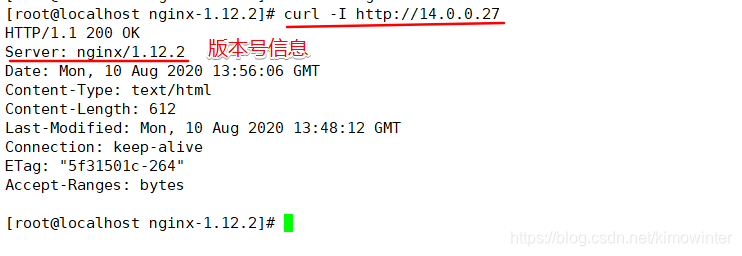 JAVA项目 隐藏nginx版本号 如何隐藏nginx版本_html_02