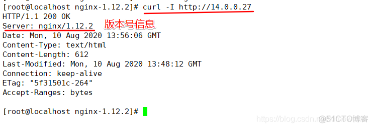 JAVA项目 隐藏nginx版本号 如何隐藏nginx版本_JAVA项目 隐藏nginx版本号_02