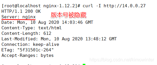 JAVA项目 隐藏nginx版本号 如何隐藏nginx版本_nginx_04