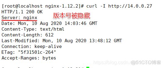 JAVA项目 隐藏nginx版本号 如何隐藏nginx版本_nginx_04