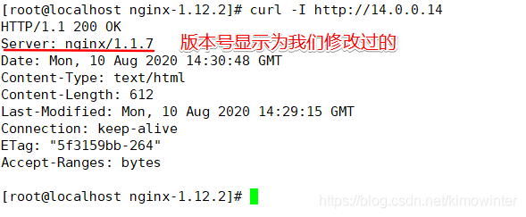 JAVA项目 隐藏nginx版本号 如何隐藏nginx版本_nginx_06