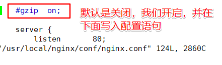 JAVA项目 隐藏nginx版本号 如何隐藏nginx版本_html_16