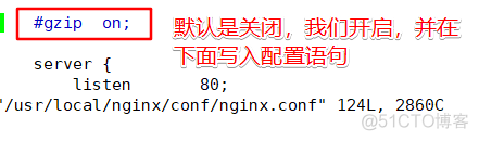 JAVA项目 隐藏nginx版本号 如何隐藏nginx版本_JAVA项目 隐藏nginx版本号_16